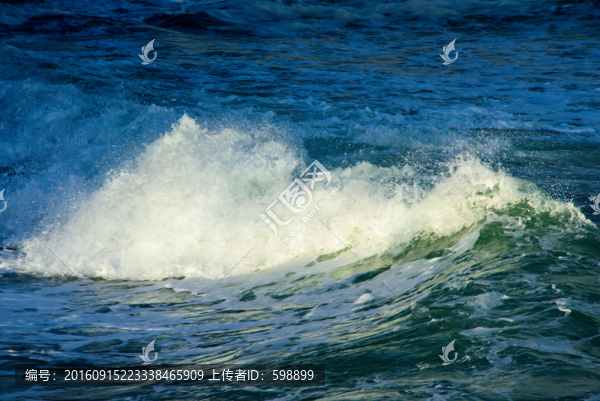 大海浪花