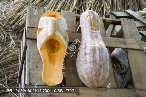 南瓜雕刻藝術(shù)