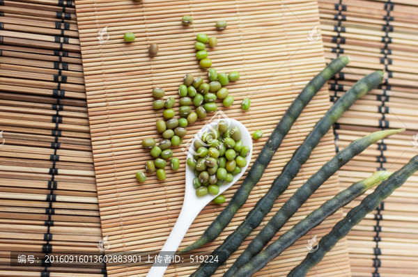 綠豆