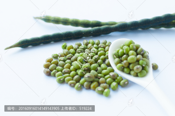 綠豆