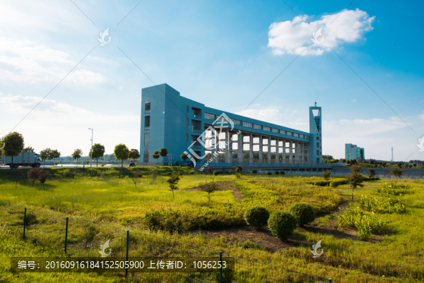 大閘