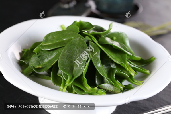 穿心蓮