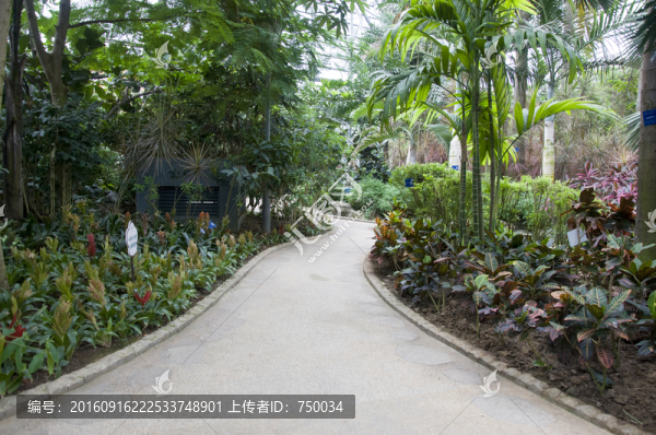 植物園小路