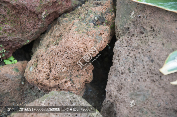 石頭