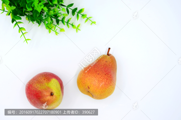 梨