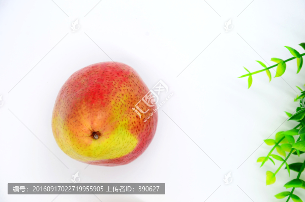 新疆庫爾勒香梨