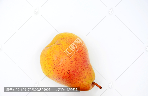 一只庫爾勒香梨