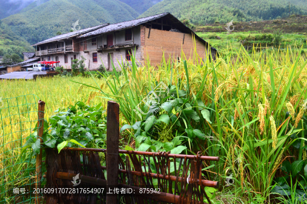 田園風光
