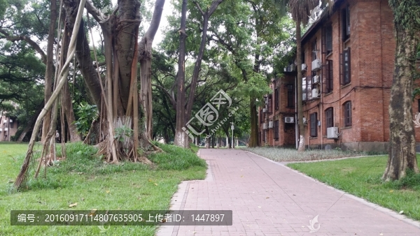 中山大學(xué)校園