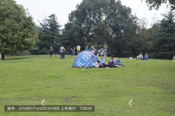 公園露營