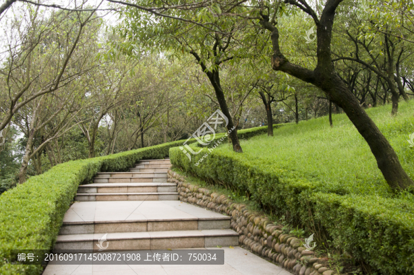 公園道路