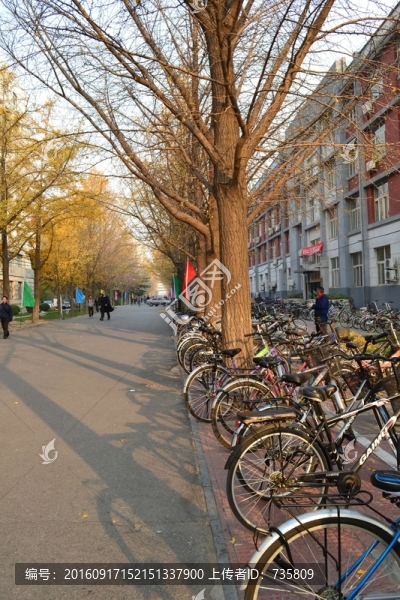 路邊自行車