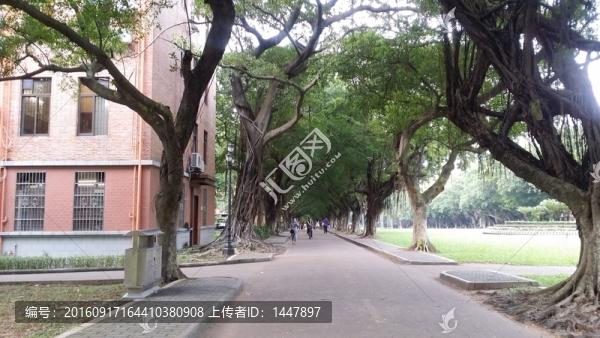 中山大學(xué)校園