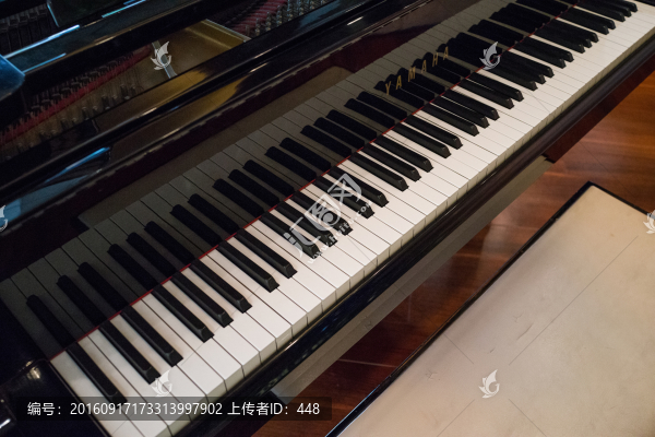鋼琴鍵盤(pán),黑白鍵盤(pán),鋼琴