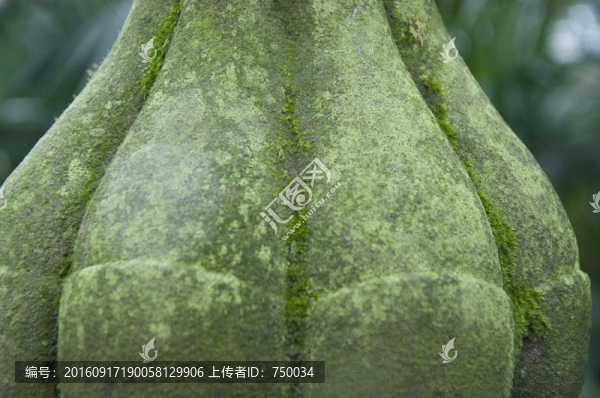 蓮花石雕