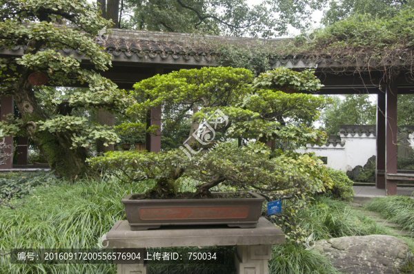 園林景觀