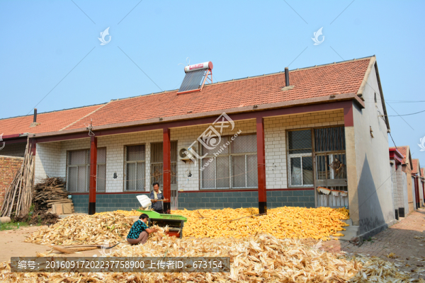 農(nóng)家小院