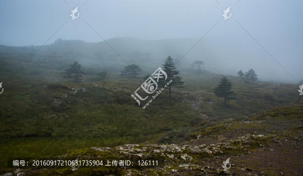 大霧中的轎子山
