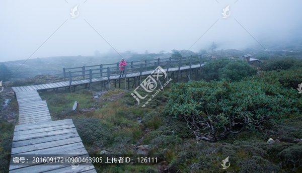 大霧中的轎子山