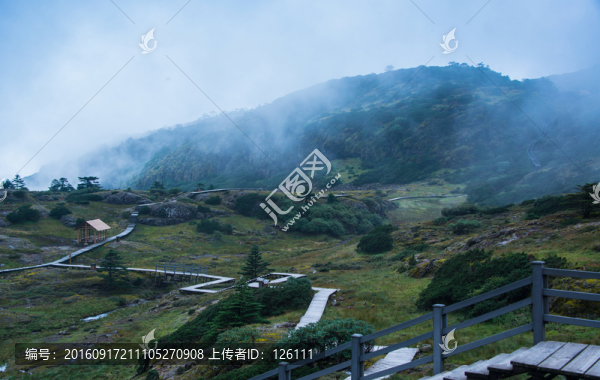 大霧中的轎子山
