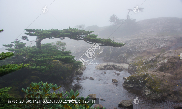 大霧中的轎子山