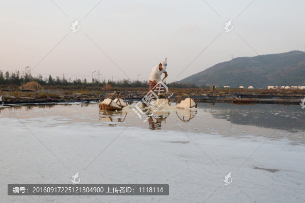 海水曬鹽,鹽田