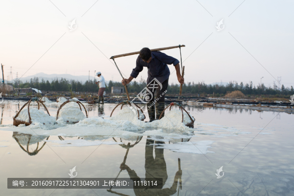 海水曬鹽,鹽田