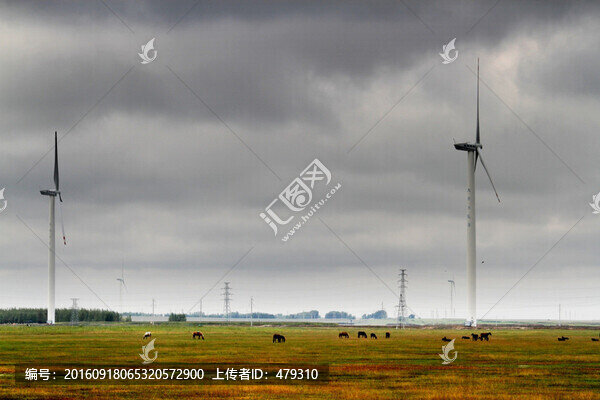 風(fēng)車,發(fā)電,羊群,放牧