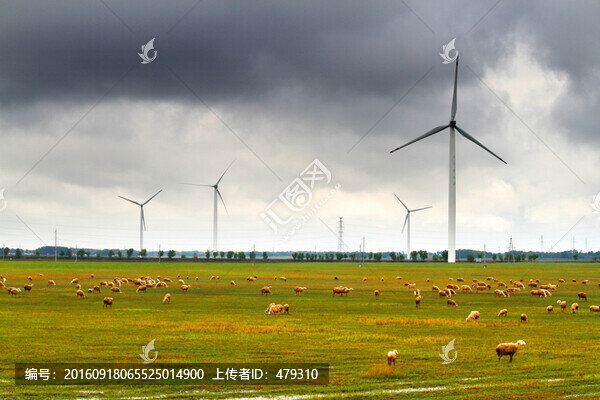 風(fēng)車,發(fā)電,羊群