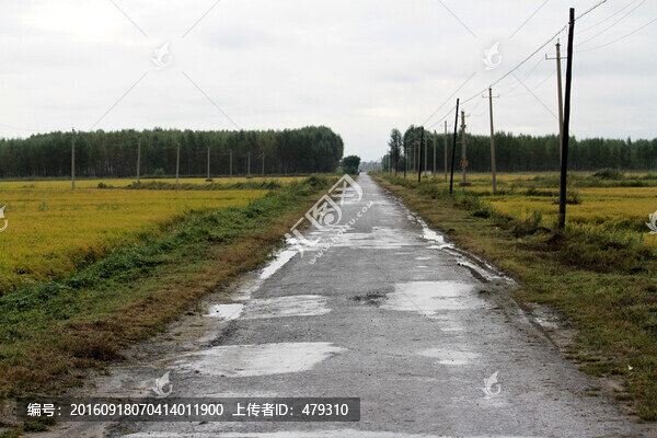 田間路