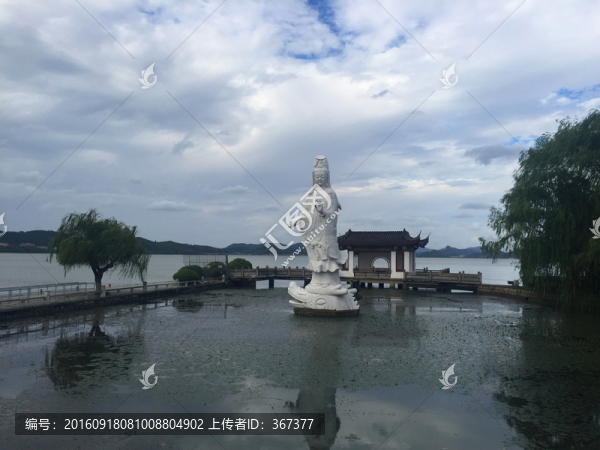 水上觀音