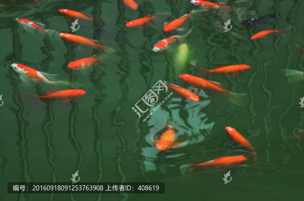 魚(yú)塘