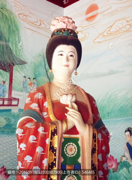 荷花仙子