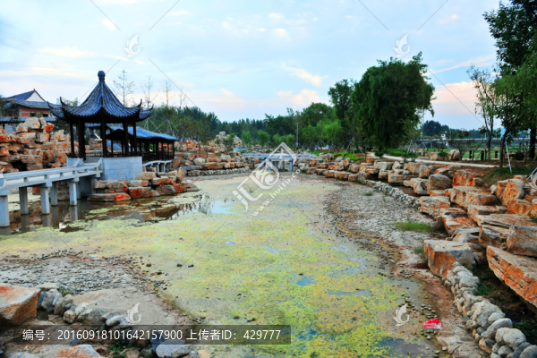 公園水池,,池塘