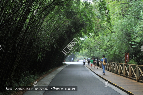 竹林