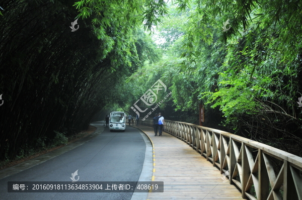 竹林