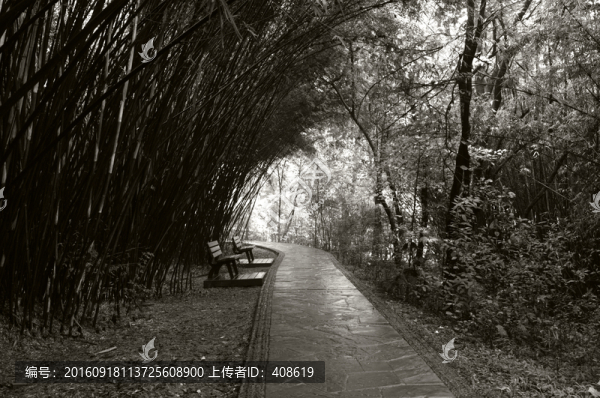 公園小路