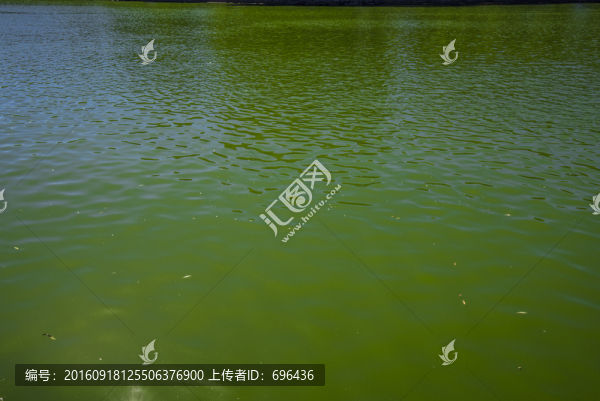 水面漣漪