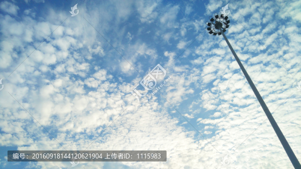 獨(dú)樹一幟