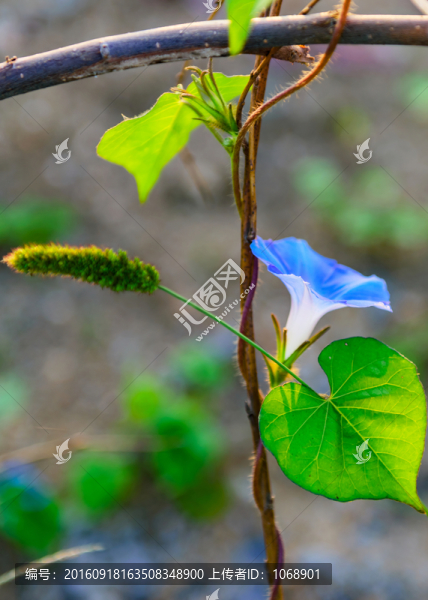 牽?；? title=
