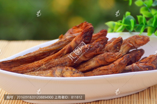 火焙魚攝影