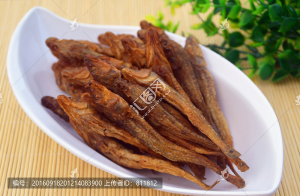 魚(yú)仔攝影