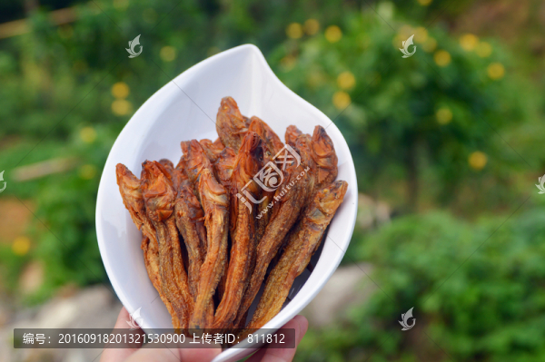 小魚仔圖片