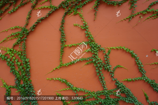 紅墻,綠色植物