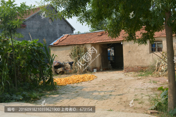農(nóng)家小院