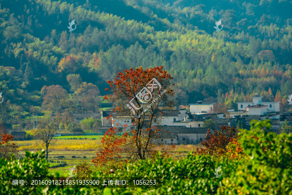 山村