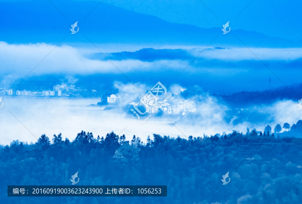晨霧