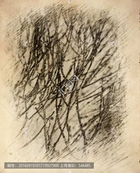 素描底紋,樹枝