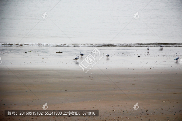 海浪