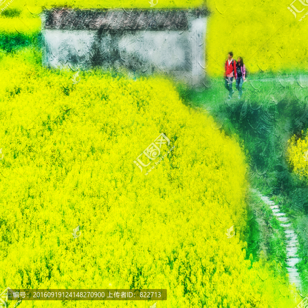 油菜花油畫